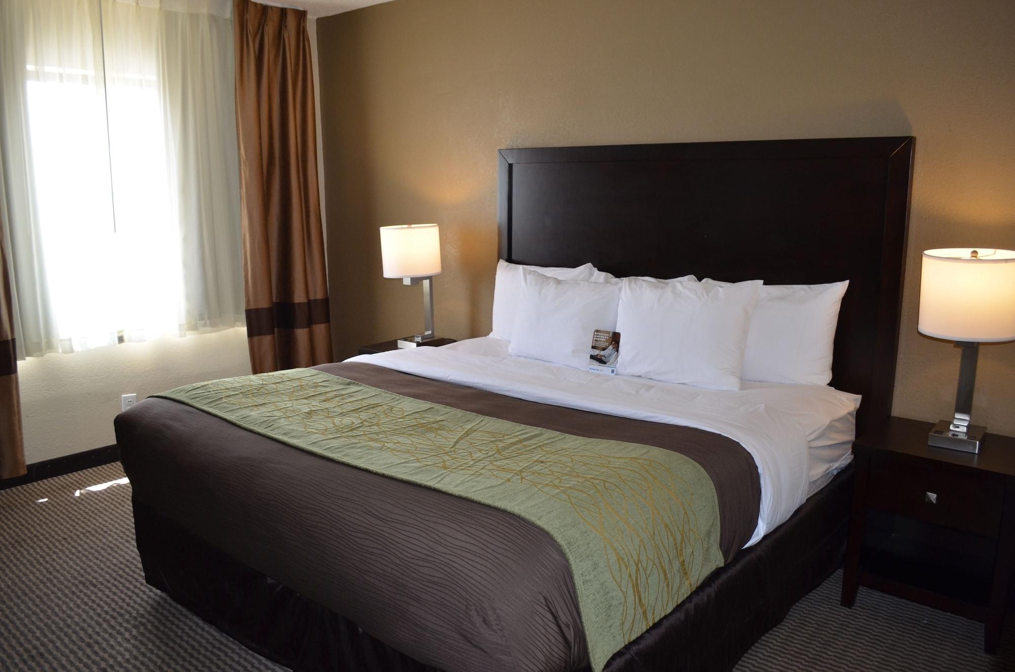 Comfort Inn Downtown Detroit Ngoại thất bức ảnh