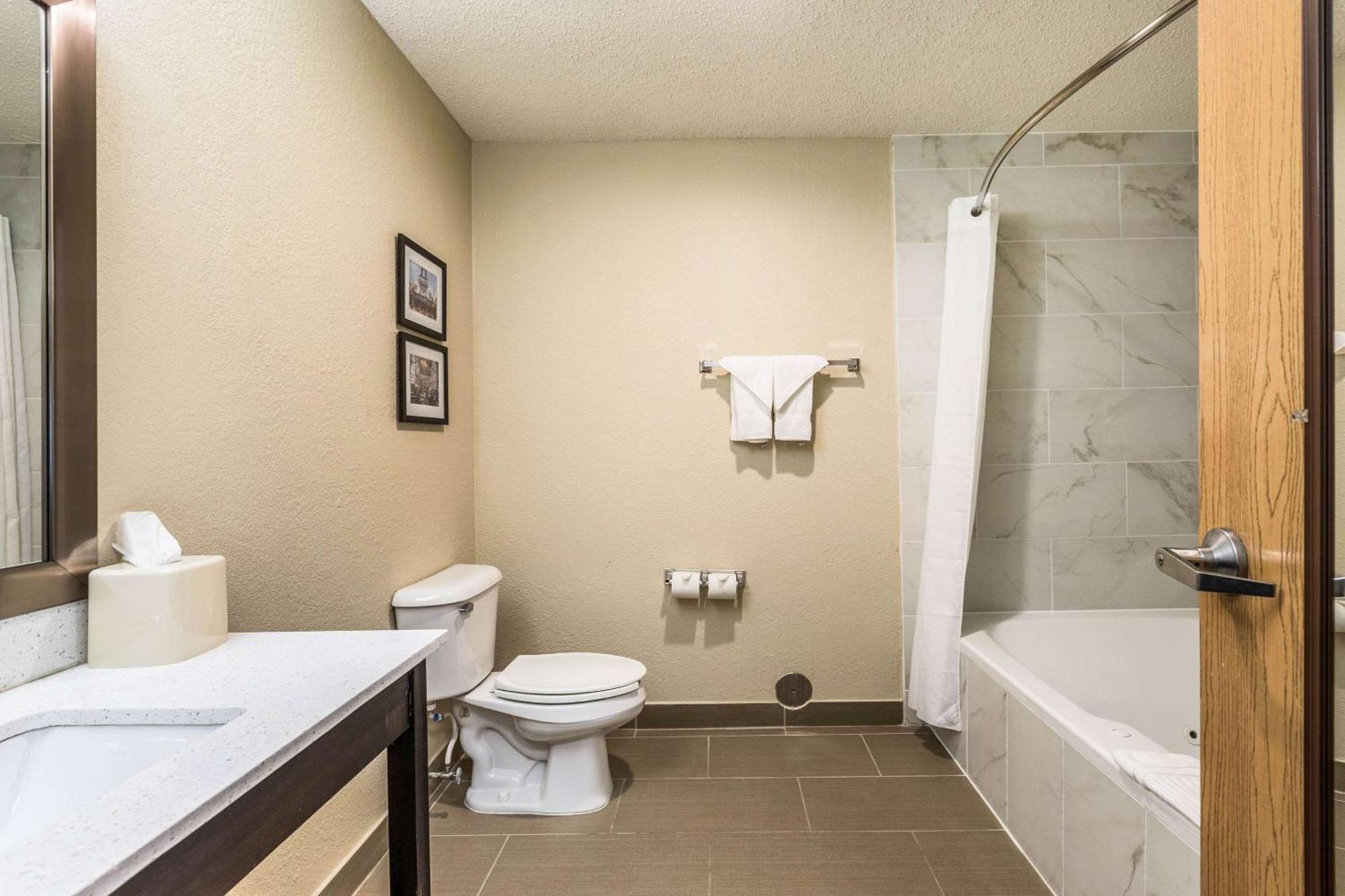 Comfort Inn Downtown Detroit Ngoại thất bức ảnh