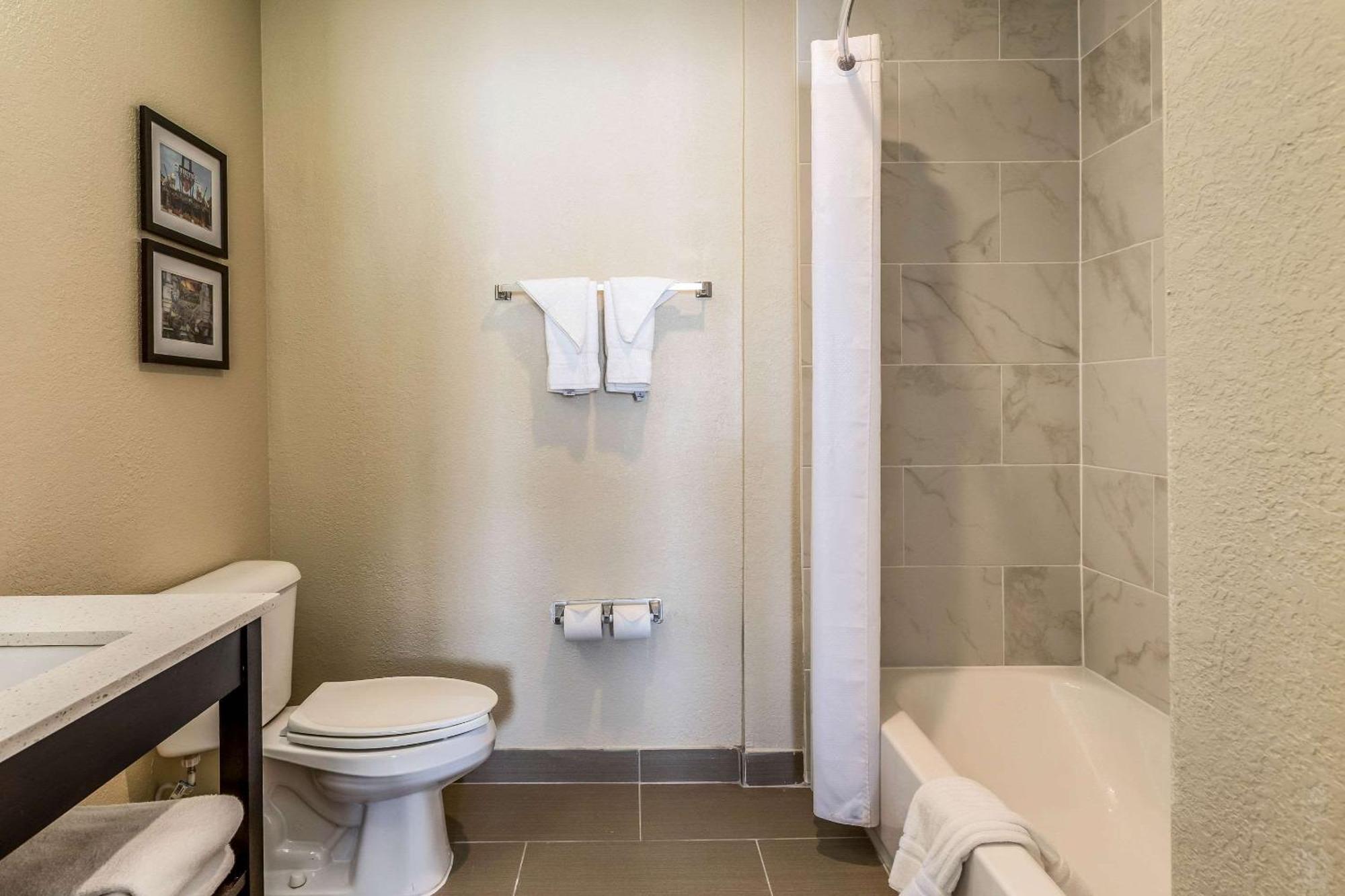 Comfort Inn Downtown Detroit Ngoại thất bức ảnh