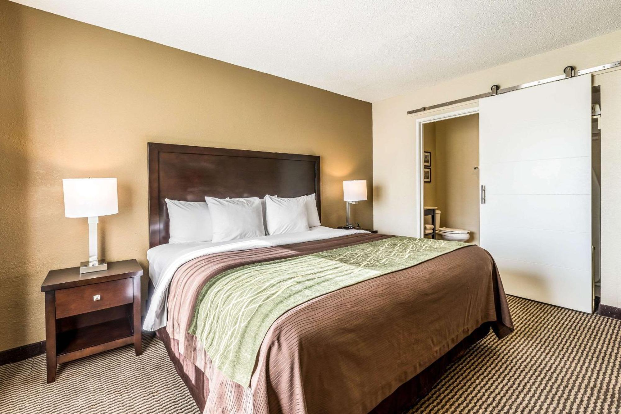 Comfort Inn Downtown Detroit Ngoại thất bức ảnh